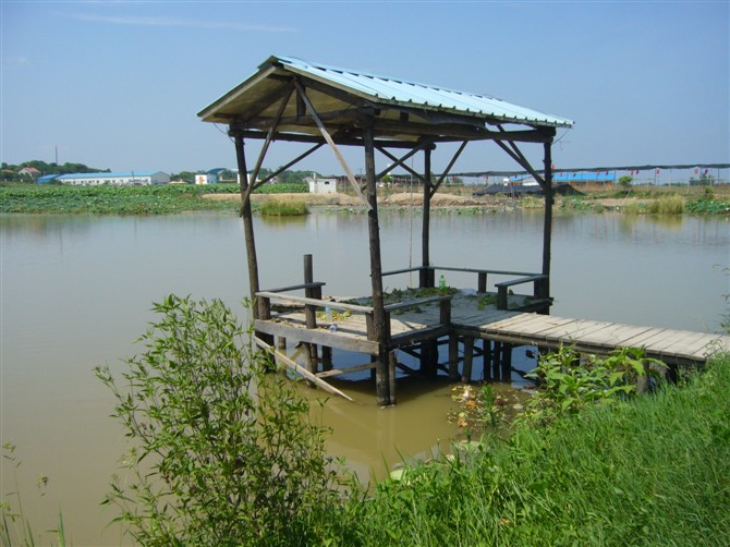 psbca7h5a6h.jpg