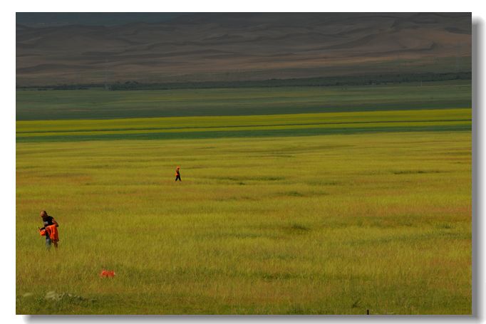 dsc_3851.jpg