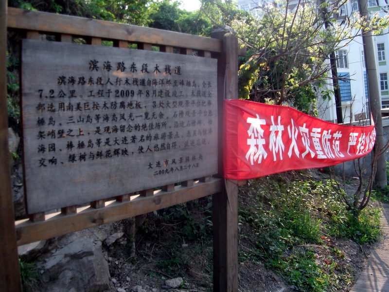 dscf0659.jpg