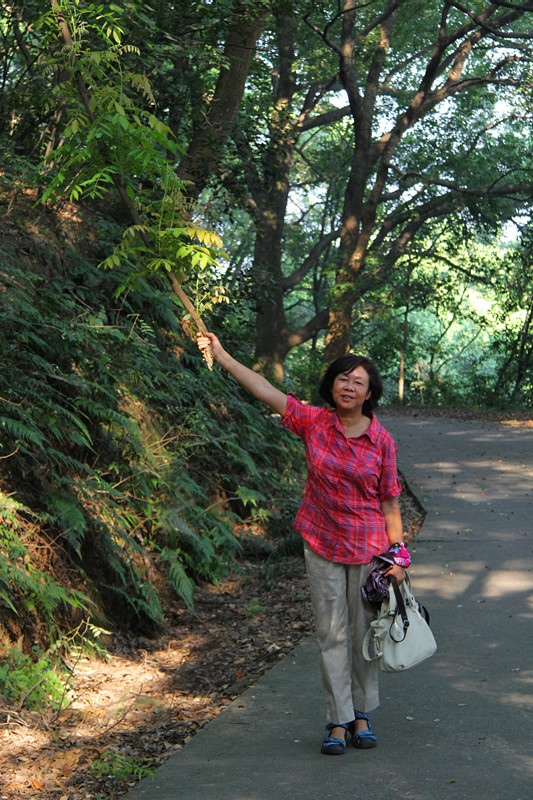 img_4925_.jpg