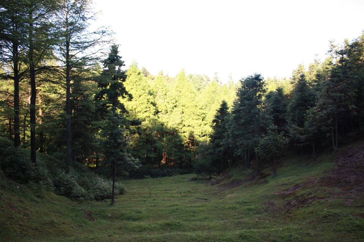 Ƭ2012-7,20 080.jpg