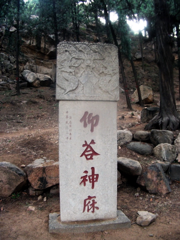 dscf0653.jpg