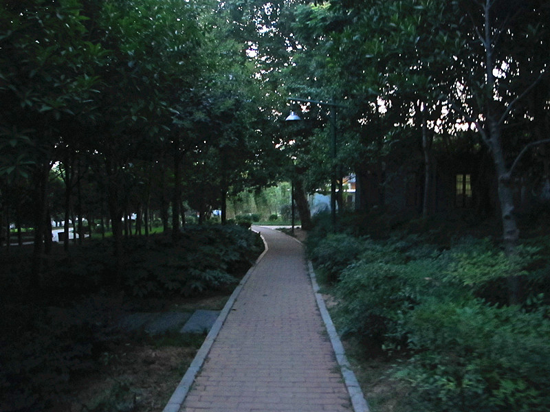 20120731ͽ 013_.jpg