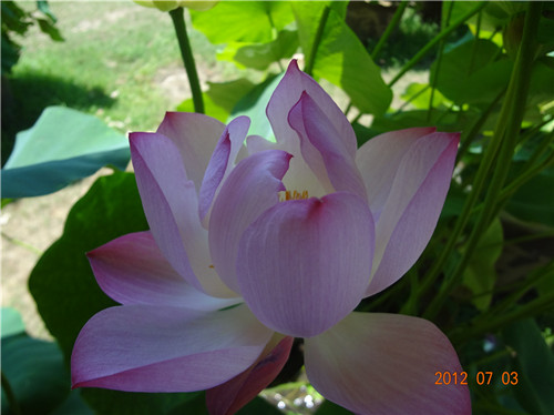 dsc02731_.jpg