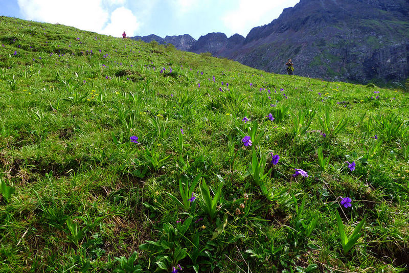 p1000648-1.jpg