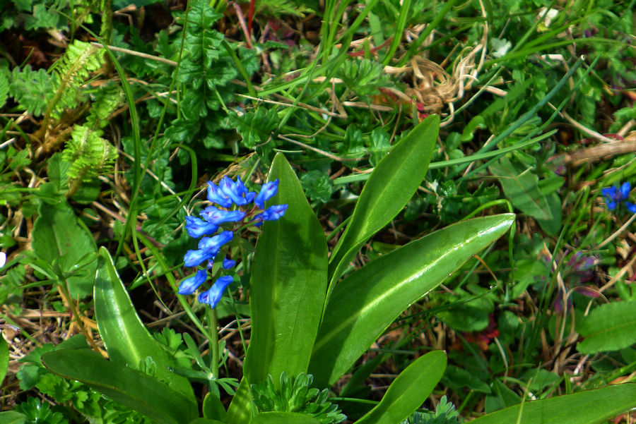 p1000701-1.jpg