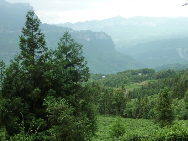 p1070276_conew1.jpg