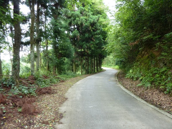 p1070278_conew1.jpg