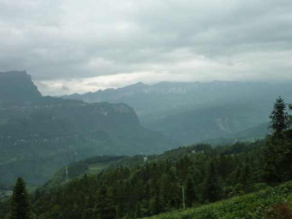 p1070270_conew1.jpg
