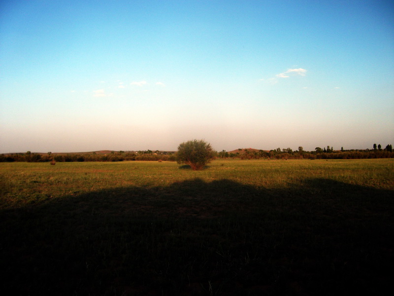 dscf0150.jpg