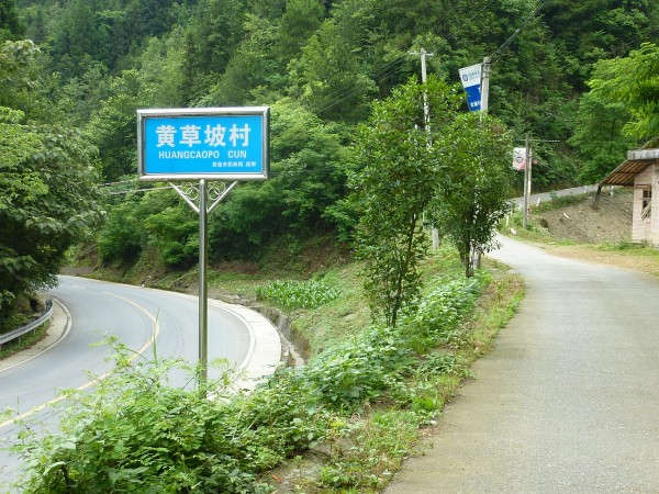 p1070264_conew1.jpg