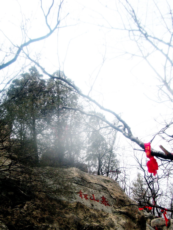dscf0462.jpg