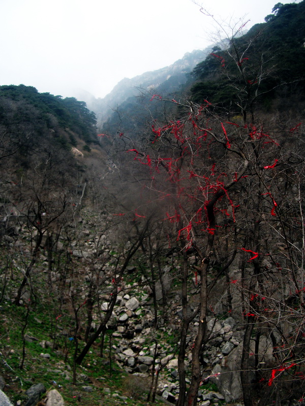 dscf0465.jpg