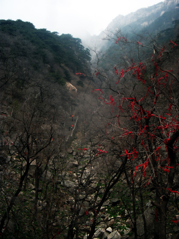 dscf0467.jpg