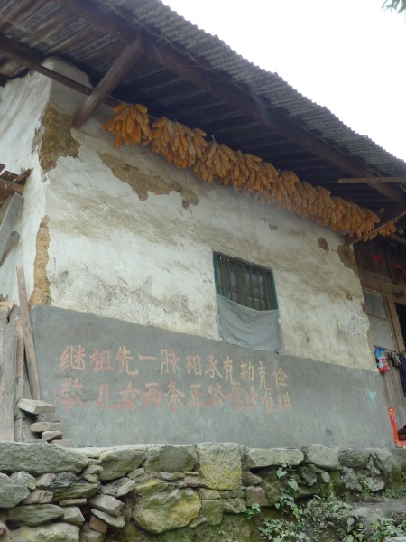 p1070289_conew1.jpg