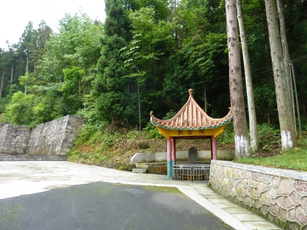 p1070320_conew1.jpg