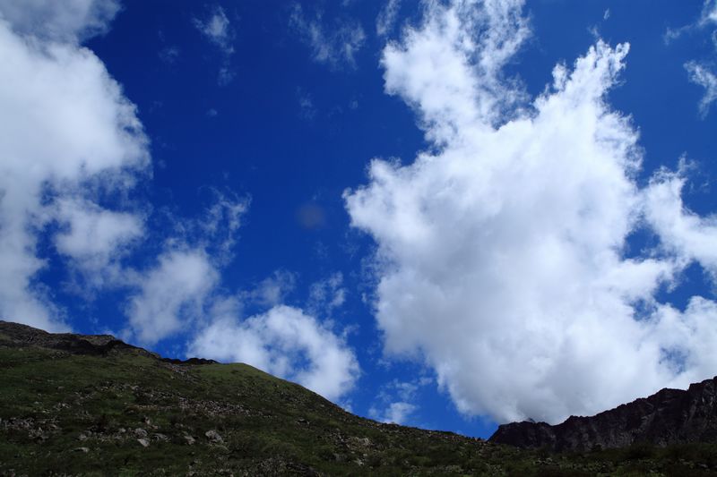 _mg_8806.jpg