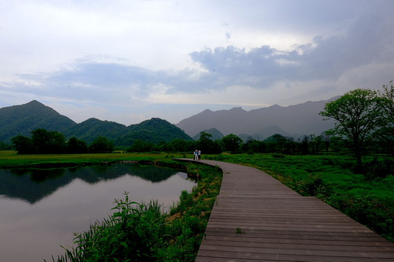 dsc_8747_002_.jpg