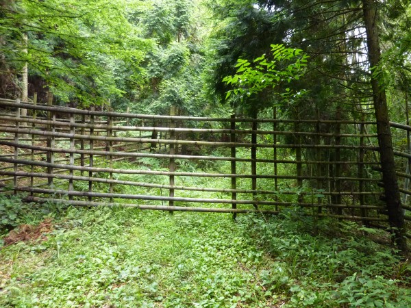 p1070313_conew1.jpg
