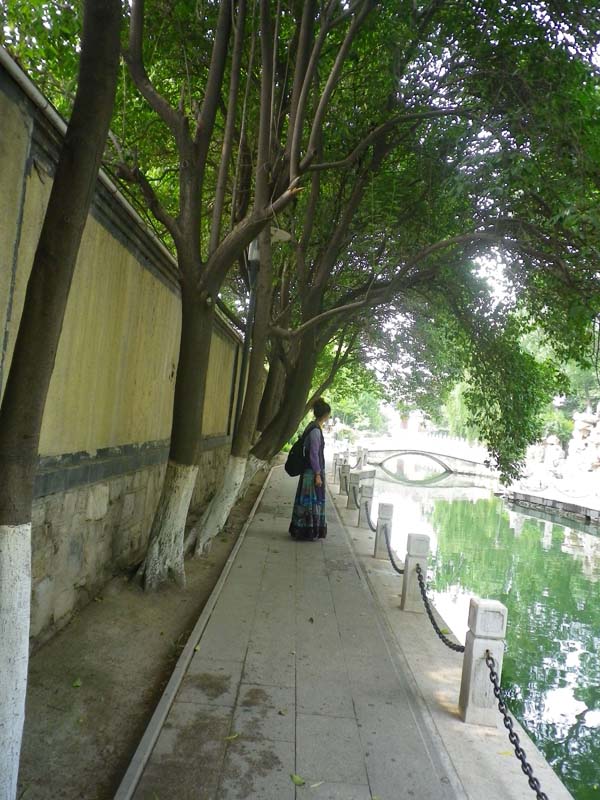 imgp3873.jpg