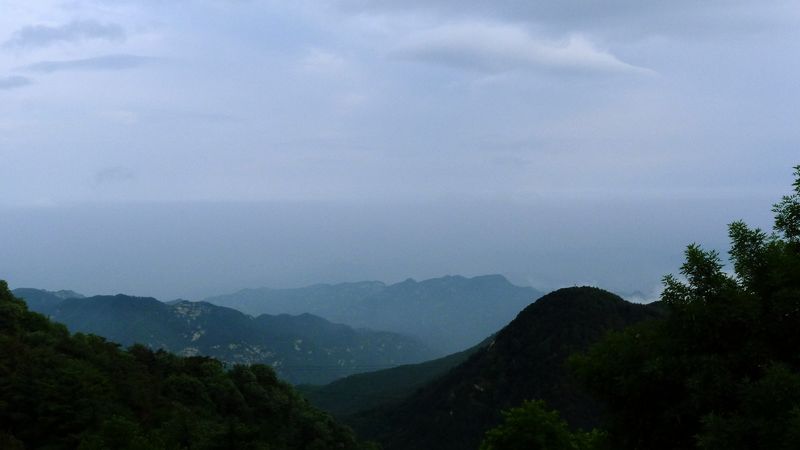 p1130396.jpg