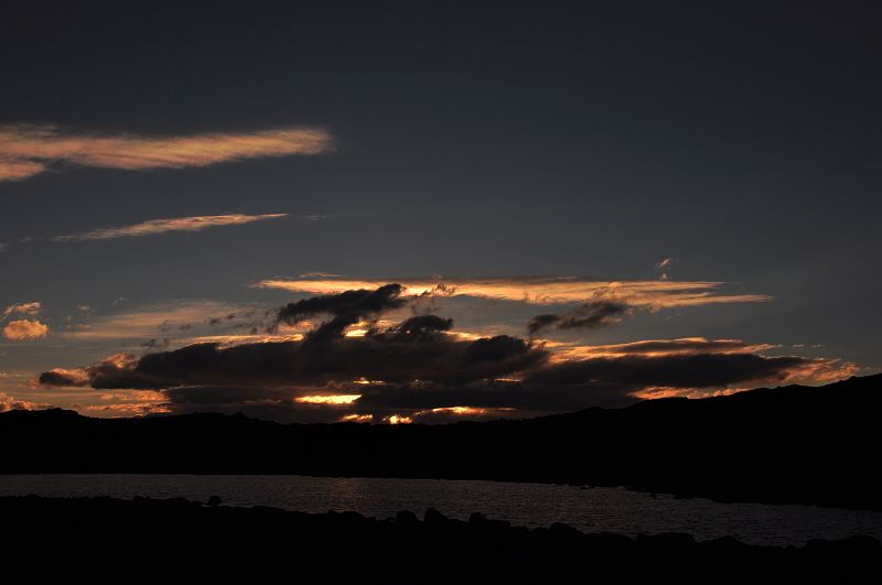 dsc_1266.jpg
