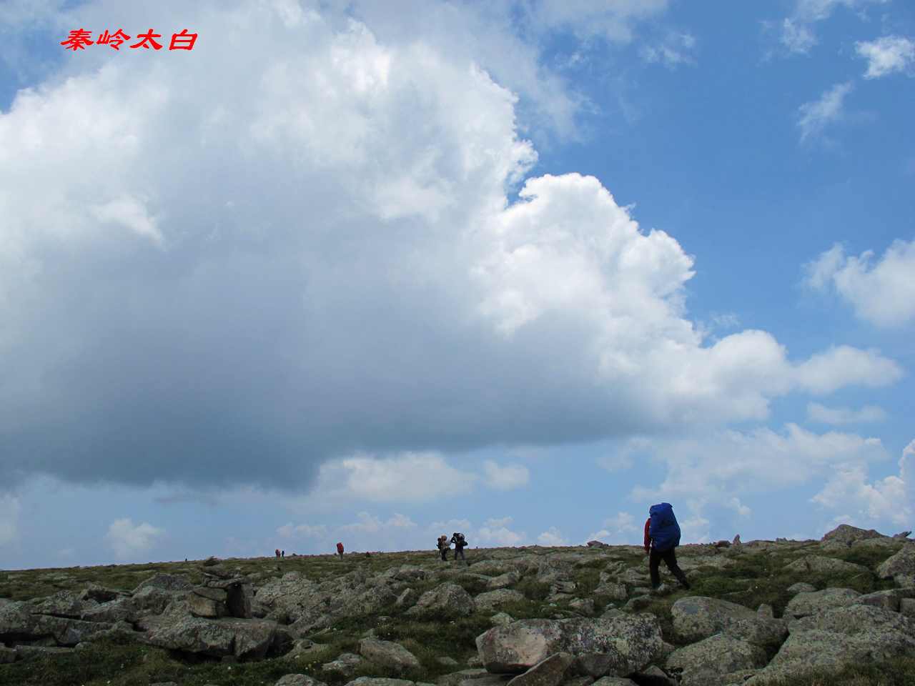 a8.jpg
