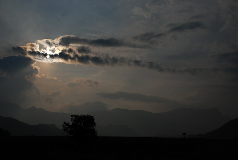 dsc_0229.jpg