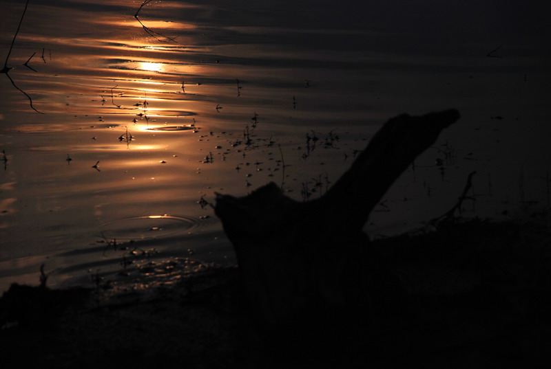 dsc_0298.jpg