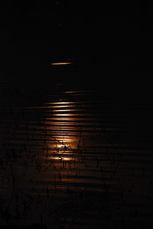 dsc_0324.jpg