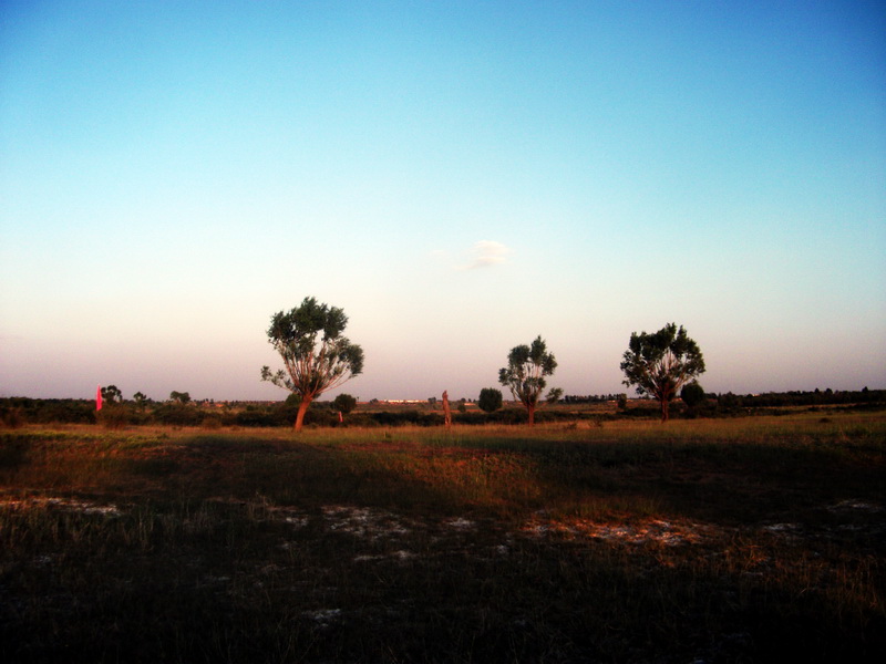 dscf0152.jpg