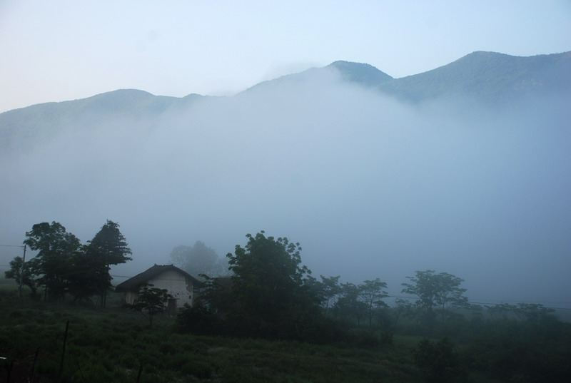 dsc_0383.jpg