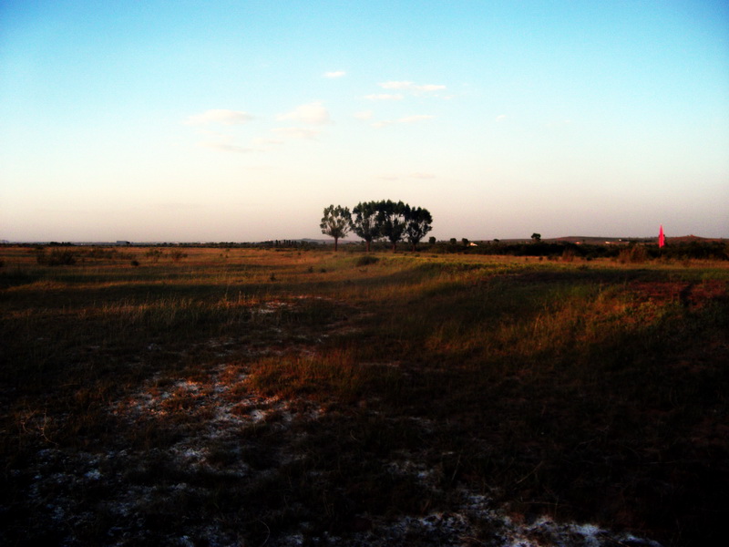 dscf0153.jpg