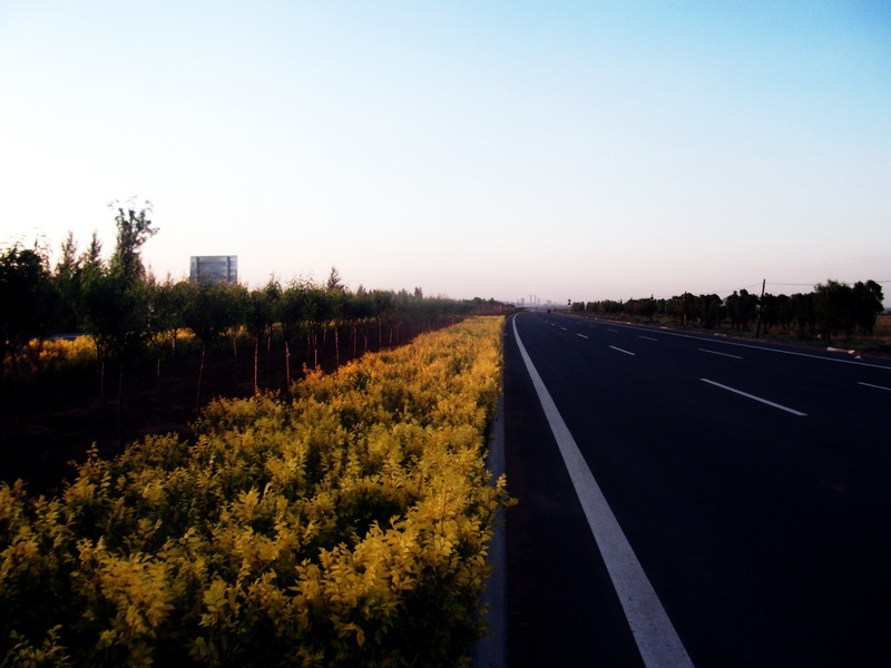 dscf0155.jpg
