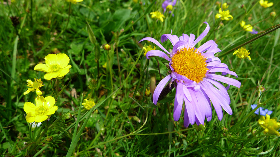 p1000767-1.jpg