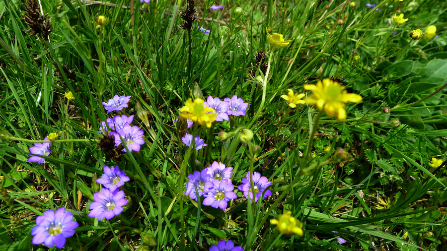 p1000768-1.jpg