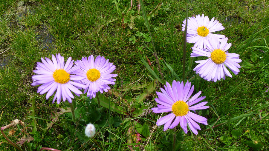 p1000772-1.jpg