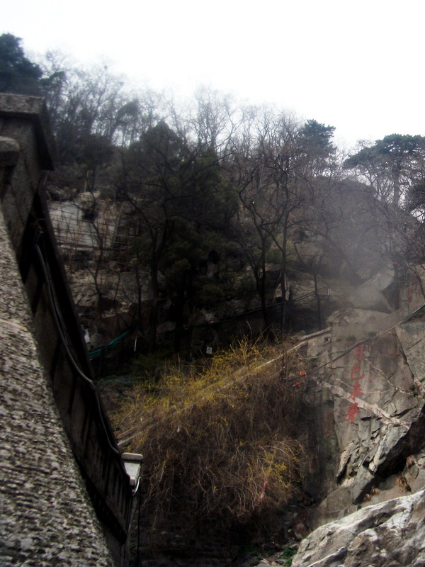 dscf0478.jpg