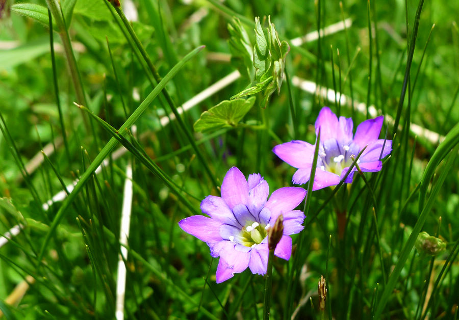 p1000781-1.jpg