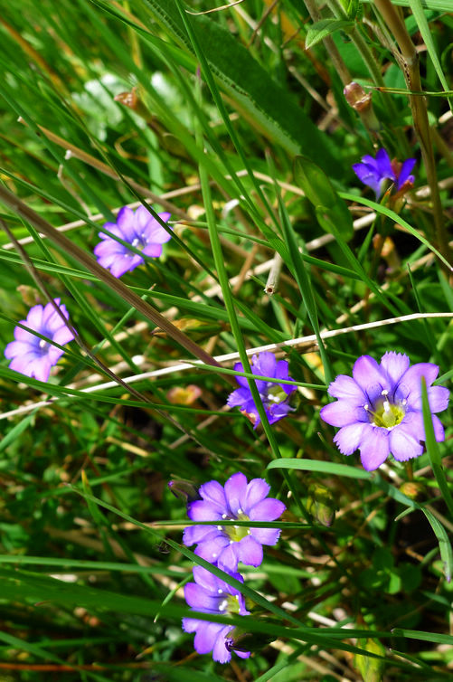 p1000782-1.jpg