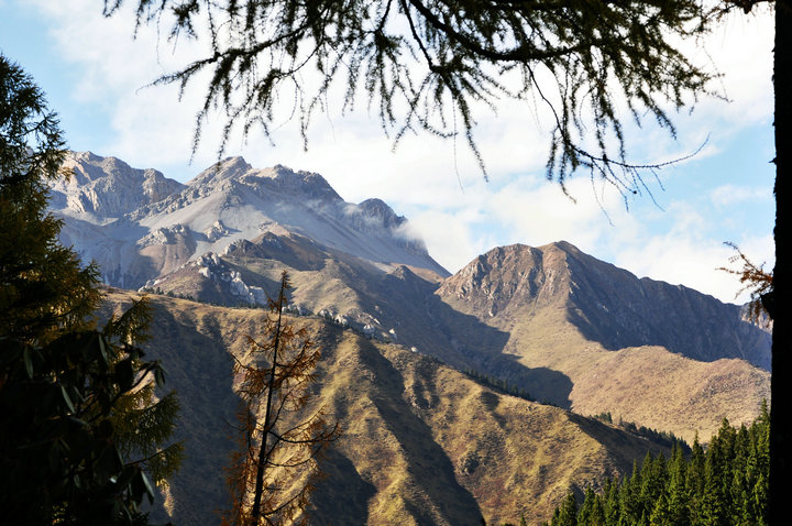 dsc_10023.jpg
