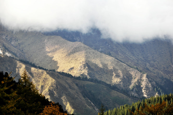 dsc_10045.jpg