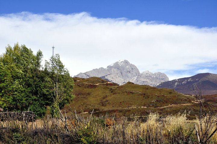_dsc0041.jpg