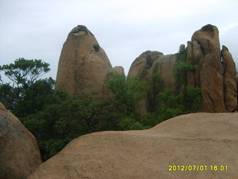 s5007644a.jpg