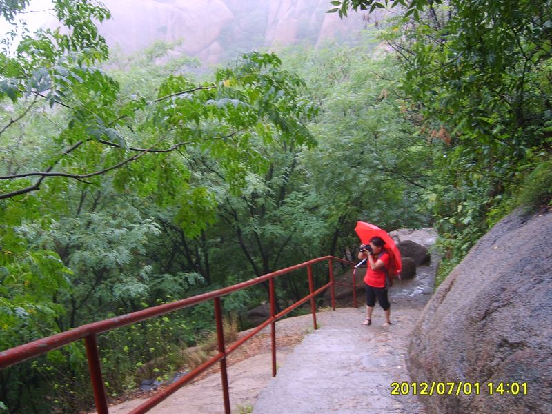 s5007579a.jpg
