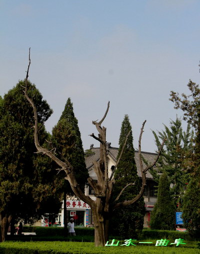 img_5362_СС.jpg