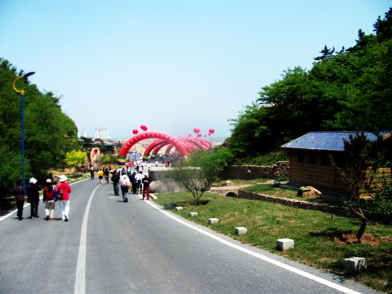 dscf0451.jpg