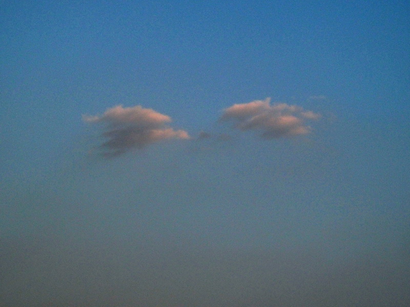dscf0156.jpg