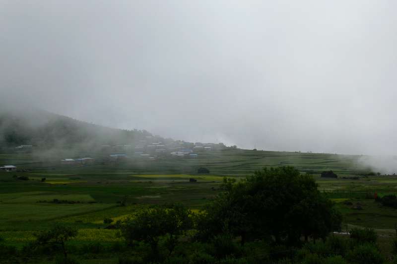 p1220377.jpg