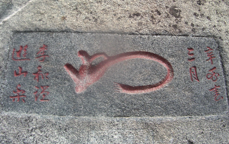 dscf0484.jpg